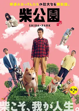久久久久久久亚洲精品